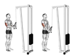Cable Triceps Pushdown