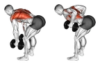 Dumbbell Bent Over Row
