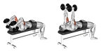 Lying Dumbbell Triceps Extension