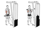 Cable Biceps Curl