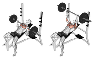 Incline Barbell Bench Press