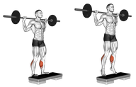 Standing Barbell Calf Raise