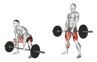 Sumo Deadlift