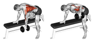 Dumbbell Bent Over Row One Arm