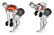 Dumbbell Bent Over Row