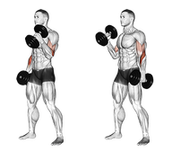 Dumbbell Hammer Curl