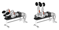 Lying Dumbbell Triceps Extension