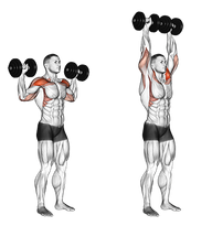 Dumbbell Shoulder Press