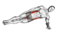 Side Plank