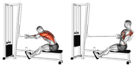 Seated Cable Rows