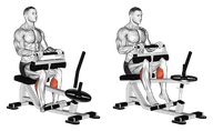 Seated Machine Calf Raise