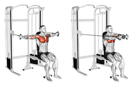 Seated Cable Chest Fly