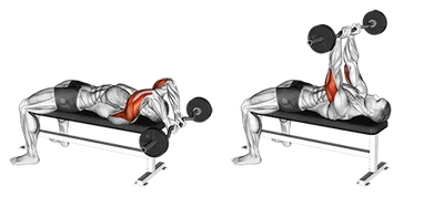 EZ-Bar Skull Crusher – Form, Tips, and Progression