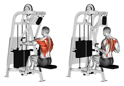 Seated Machine Row – How to Build a Stronger Back
