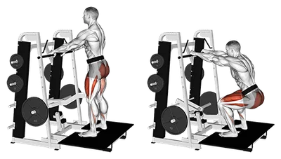 Belt Squat – Quad & Glute Gains Without Back Strain