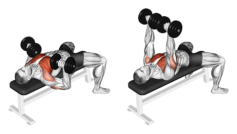 Dumbbell Bench Press
