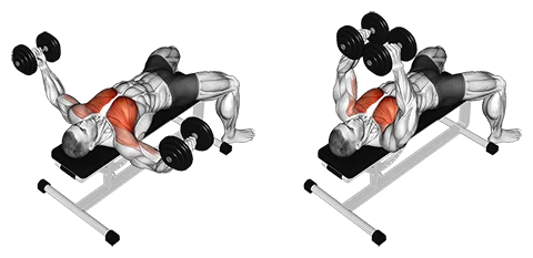 Dumbbell Chest Fly