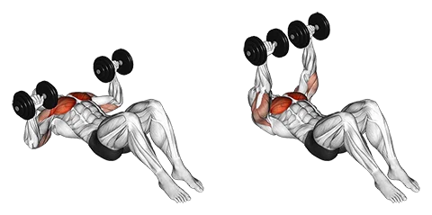 Dumbbell Floor Press