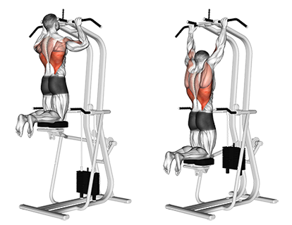 Assisted Pull-Up