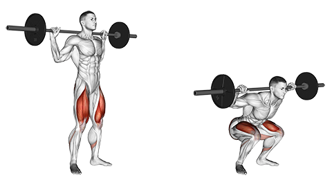 Barbell Squat