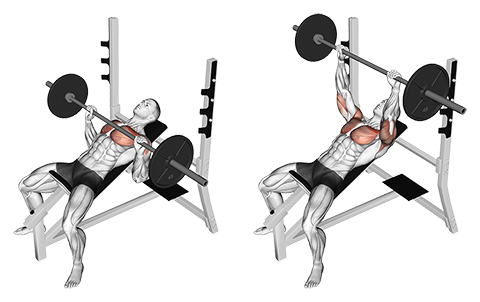 Incline Barbell Bench Press