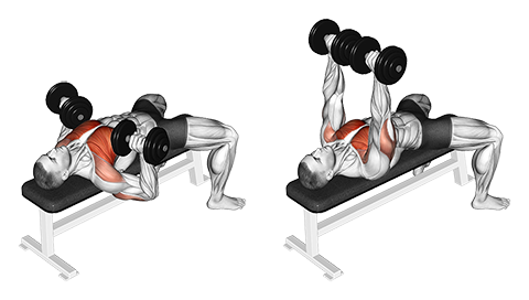 Dumbbell Bench Press