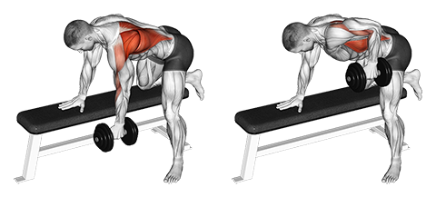 Dumbbell Bent Over Row One Arm