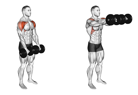 Dumbbell Front Raise