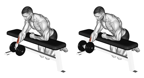 Dumbbell Wrist Extension