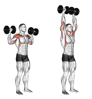 Dumbbell Overhead Press