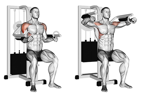 Machine Lateral Raise