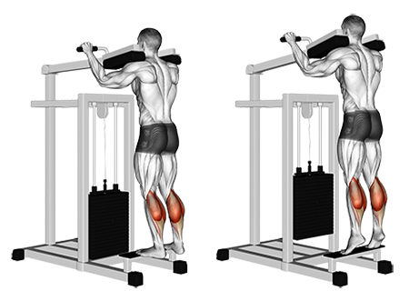 Standing Machine Calf Raise