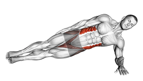 Side Plank