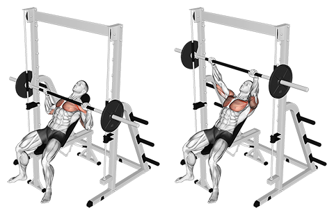 Incline Smith Machine Bench Press