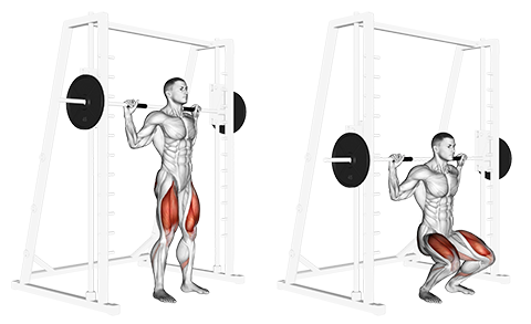 Smith Machine Squat