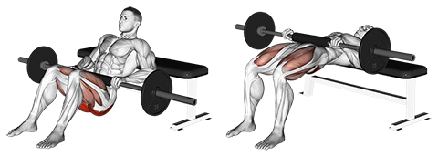 Barbell Hip Thrust