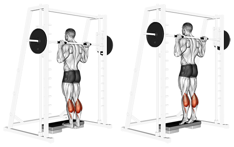 Smith Machine Calf Raise