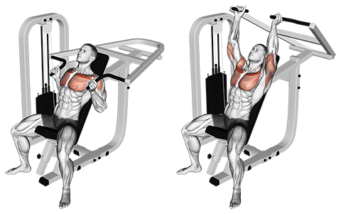 Machine Incline Chest Press Hammer Grip