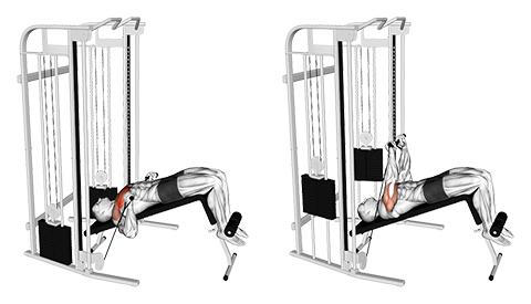 Decline Cable Press