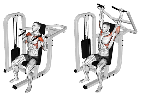 Machine Shoulder Press