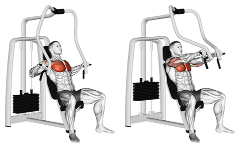 Machine Chest Press