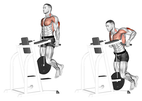 Weighted Chest Dip