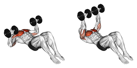 Dumbbell Floor Press