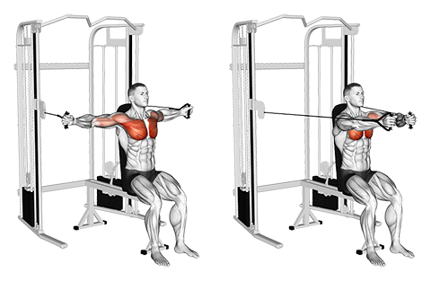 Seated Cable Chest Fly