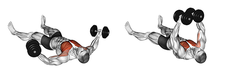 Floor Dumbbell Fly