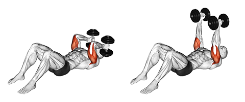 Dumbbell Skull Crusher