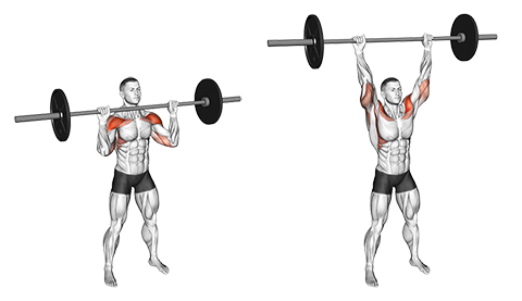 Barbell Shoulder Press