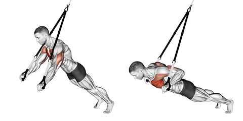 Ring Chest Press