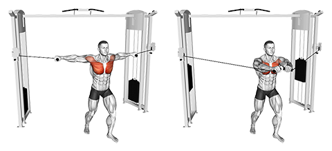 Cable Chest Fly