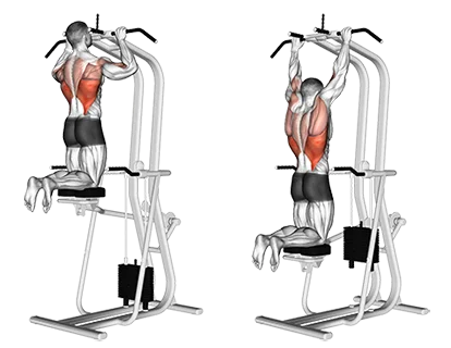Assisted Pull-Up